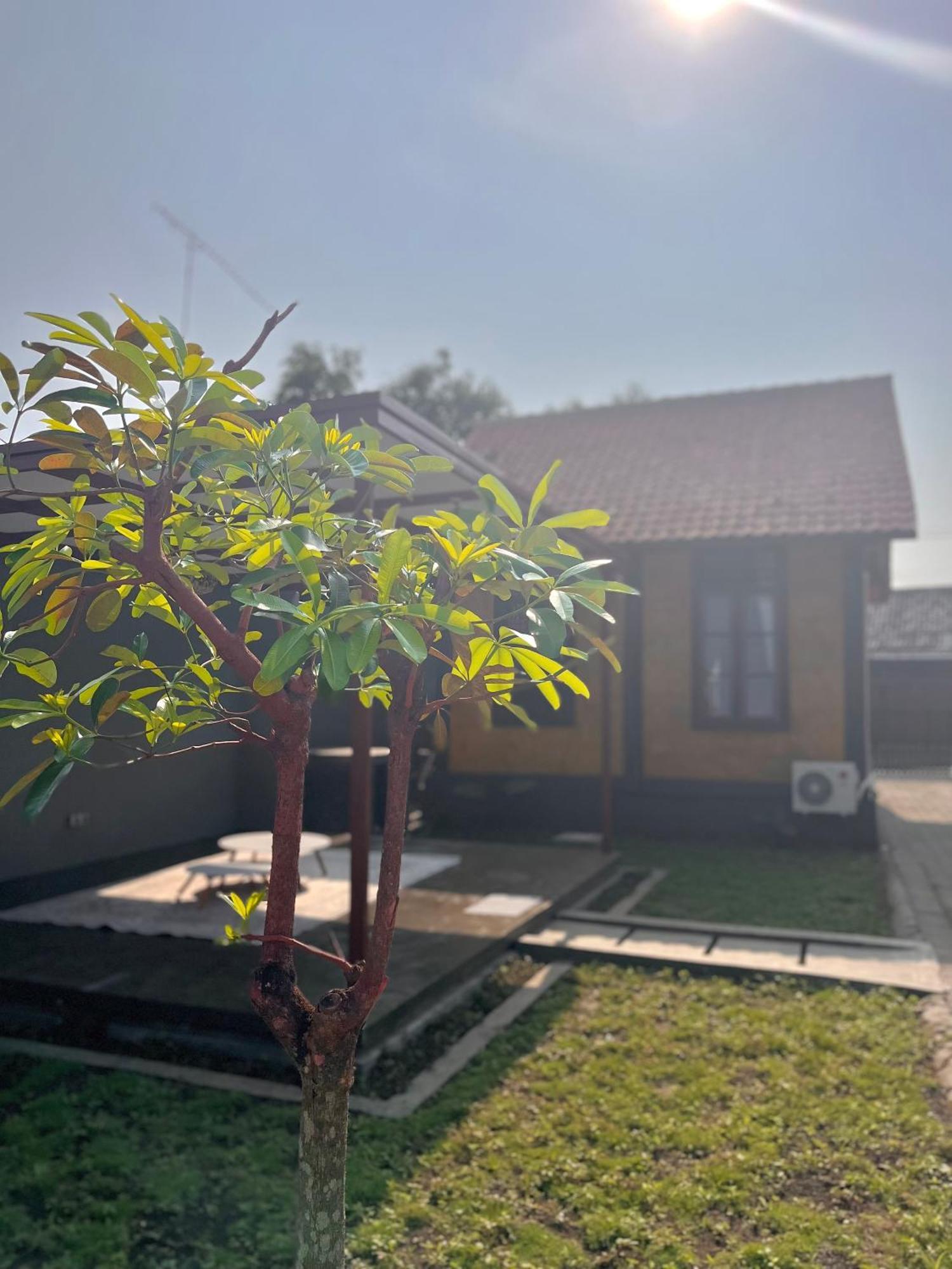Joglo Homestay Banyuwangi Banyuwangi  Luaran gambar